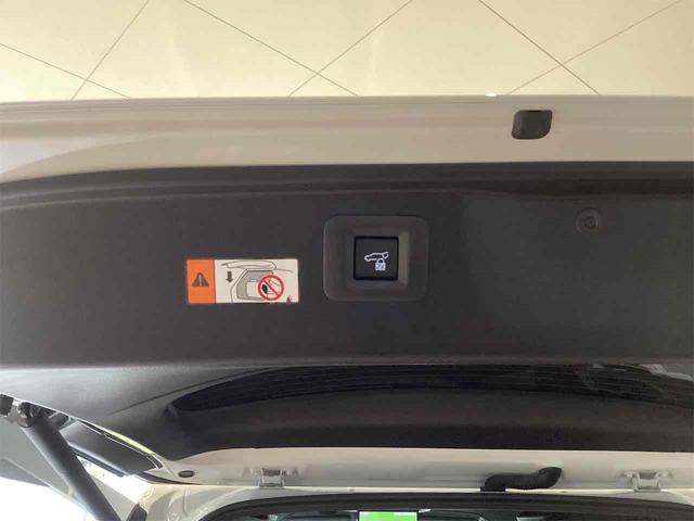 アルファード Z 全周囲カメラ ナビ TV クリアランスソナー オートクルーズコントロール レーンアシスト 衝突被害軽減システム オートマチックハイビーム オートライト LEDヘッドランプ 電動リアゲート スマートキー(30枚目)