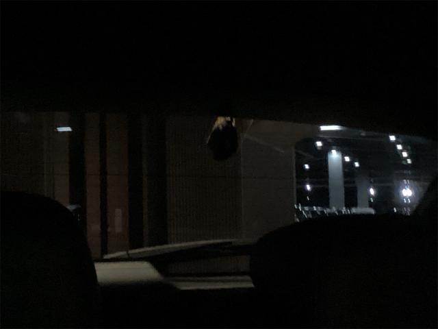 ＣＸ－５ ２５Ｓ　スポーツアピアランス　ドライブレコーダー　ＥＴＣ　バックカメラ　サイドカメラ　クリアランスソナー　オートクルーズコントロール　レーンアシスト　パワーシート　衝突被害軽減システム　ナビ　ＴＶ　オートライト　ＬＥＤヘッドランプ（51枚目）