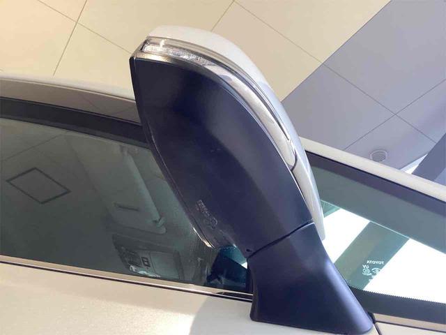 アルファード 2.5S Cパッケージ ドライブレコーダー ETC バックカメラ ナビ TV クリアランスソナー オートクルーズコントロール レーンアシスト 衝突被害軽減システム 両側電動スライドドア オートマチックハイビーム(22枚目)