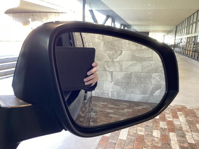 ヴォクシー ＺＳ　ドライブレコーダー　バックカメラ　ナビ　ＴＶ　クリアランスソナー　オートクルーズコントロール　レーンアシスト　衝突被害軽減システム　両側スライド・片側電動　オートマチックハイビーム　オートライト（22枚目）