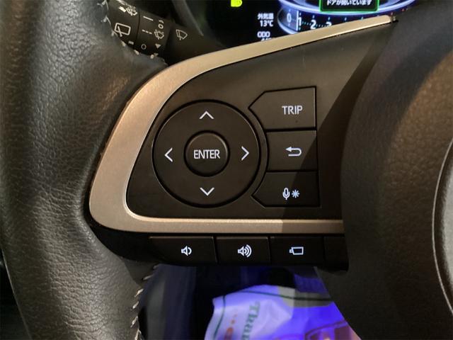 ライズ Ｚ　ドライブレコーダー　全周囲カメラ　クリアランスソナー　オートクルーズコントロール　レーンアシスト　衝突被害軽減システム　ナビ　ＴＶ　オートライト　ＬＥＤヘッドランプ　アルミホイール　スマートキー（17枚目）