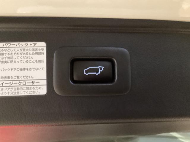 アルファード 2.5S Cパッケージ ETC バックカメラ ナビ TV クリアランスソナー オートクルーズコントロール レーンアシスト 衝突被害軽減システム 両側電動スライドドア オートマチックハイビーム オートライト(32枚目)