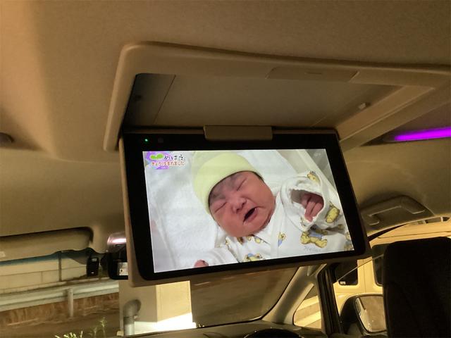 アルファード 2.5S Cパッケージ ETC バックカメラ ナビ TV クリアランスソナー オートクルーズコントロール レーンアシスト 衝突被害軽減システム 両側電動スライドドア オートマチックハイビーム オートライト(40枚目)