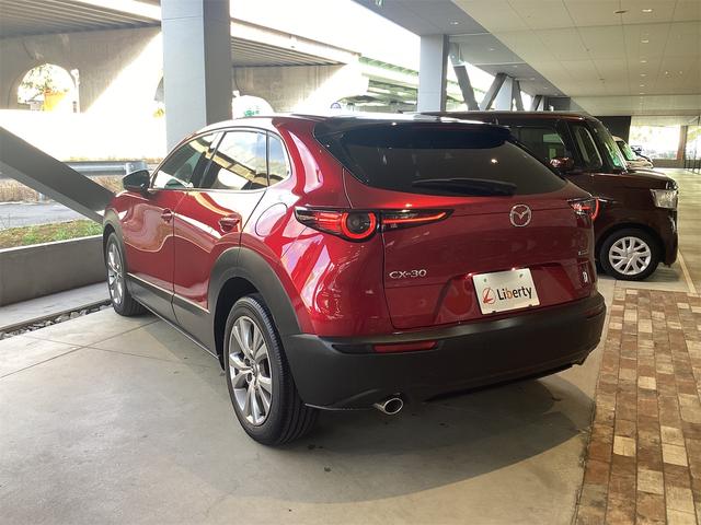 ＣＸ－３０ ２０Ｓ　プロアクティブ　ツーリングセレクション　ドライブレコーダー　ＥＴＣ　全周囲カメラ　クリアランスソナー　オートクルーズコントロール　衝突被害軽減システム　ナビ　オートマチックハイビーム　オートライト　ＬＥＤヘッドランプ　電動リアゲート（7枚目）