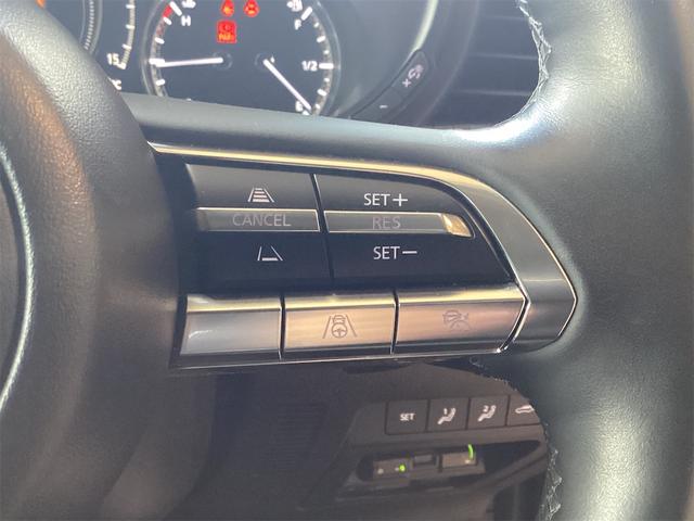 ＣＸ－３０ ２０Ｓ　プロアクティブ　ツーリングセレクション　ドライブレコーダー　ＥＴＣ　全周囲カメラ　クリアランスソナー　オートクルーズコントロール　衝突被害軽減システム　ナビ　オートマチックハイビーム　オートライト　ＬＥＤヘッドランプ　電動リアゲート（39枚目）