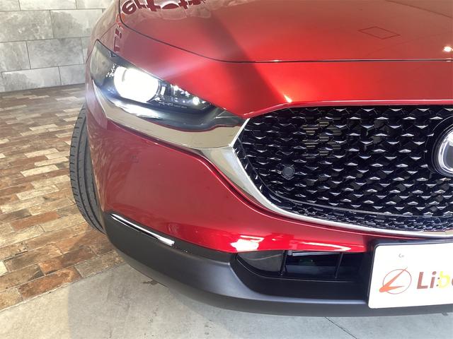 ＣＸ－３０ ２０Ｓ　プロアクティブ　ツーリングセレクション　ドライブレコーダー　ＥＴＣ　全周囲カメラ　クリアランスソナー　オートクルーズコントロール　衝突被害軽減システム　ナビ　オートマチックハイビーム　オートライト　ＬＥＤヘッドランプ　電動リアゲート（44枚目）