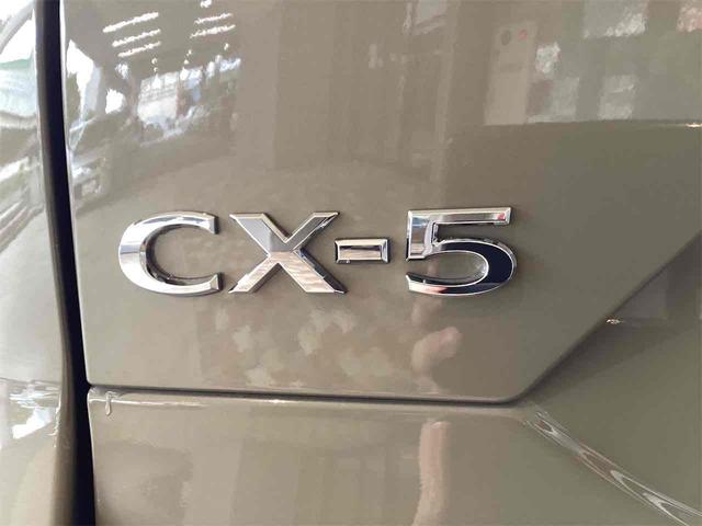 ＣＸ－５ ＸＤ　ブラックトーンエディション　ドライブレコーダー　全周囲カメラ　クリアランスソナー　オートクルーズコントロール　レーンアシスト　パワーシート　衝突被害軽減システム　ナビ　ＴＶ　オートライト　ＬＥＤヘッドランプ　電動リアゲート（28枚目）