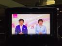 Ｇ・Ｌホンダセンシング　バックカメラ　両側スライド・片側電動　ナビ　ＴＶ　クリアランスソナー　オートクルーズコントロール　レーンアシスト　衝突被害軽減システム　オートライト　スマートキー　アイドリングストップ　電動格納ミラー（30枚目）