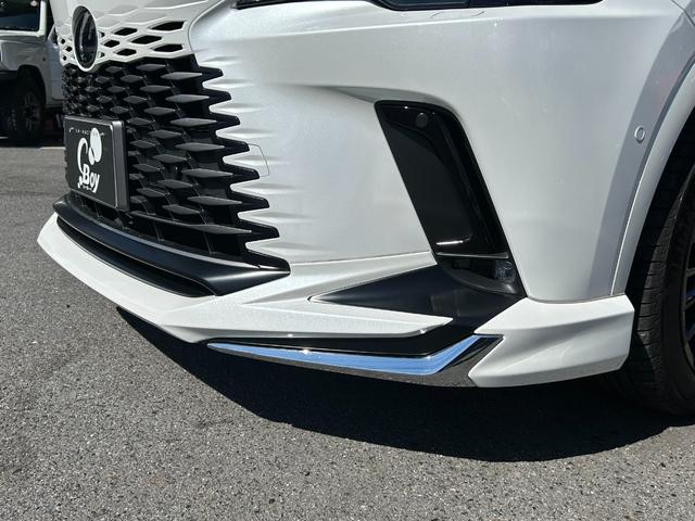ＲＸ ＲＸ４５０ｈ＋　バージョンＬ　マークレビンソンサウンドシステム　寒冷地仕様　パノラマルーフ　カラーＨＵＤ　ＢＳＭ　レクサスチームメイト　ＡＤパーク　セミアニリン本革シート　ナノイーＸ　純正２１ｉｎＡＷ　デジタルインナーミラー（49枚目）