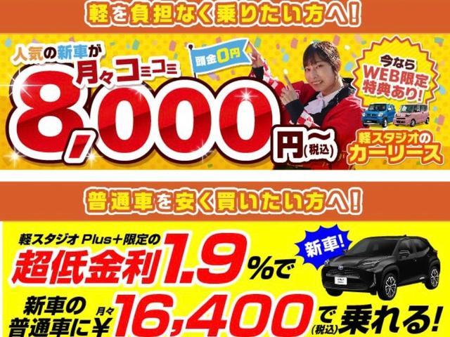 タフト Ｇ　クロムベンチャー　コーナセンサ　誤発進抑制　パノラマガラスルーフ　クルーズＣ　安全ボディ　サイドエアバッグ　ＬＥＤライト　パワーウィンドウ　イモビ　Ｉストップ　キーフリー　横滑り防止　ＡＢＳ　エアバック　スマートキー（36枚目）