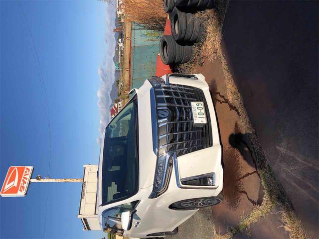 アルファード 2.5S Cパッケージ ドライブレコーダー バックカメラ TV クリアランスソナー オートクルーズコントロール レーンアシスト 衝突被害軽減システム 両側スライドドア LEDヘッドランプ サンルーフ 電動リアゲート(17枚目)