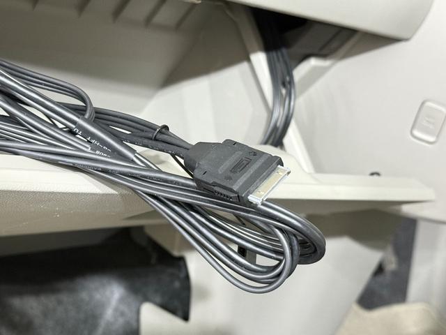 �����Ԃ͂������|�����Ă��Ă��܂��̂Œ��X����o��Ȃ������������Ǝv���܂��B