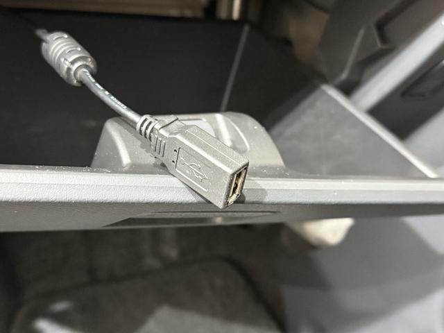 �����Ԃ͂������|�����Ă��Ă��܂��̂Œ��X����o��Ȃ������������Ǝv���܂��B