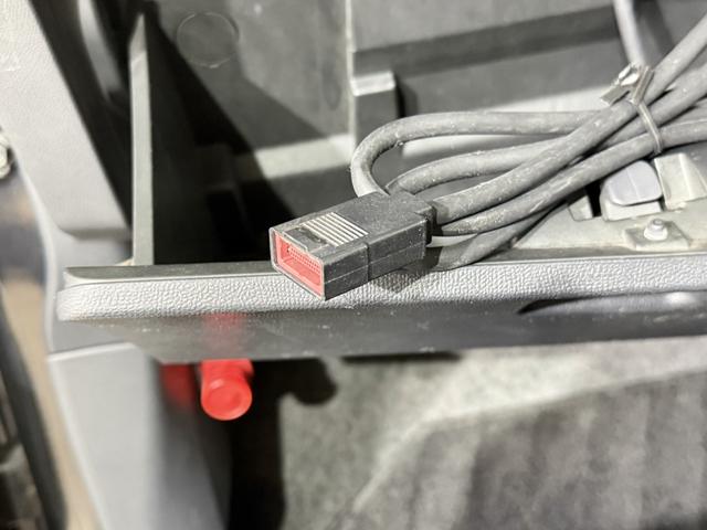 �����Ԃ͂������|�����Ă��Ă��܂��̂Œ��X����o��Ȃ������������Ǝv���܂��B