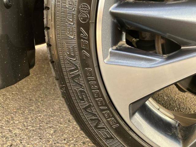 �u���̎Ԃ̎ʐ^�������ƌ������v�u��Ԃ��C�ɂȂ�v�u���̑����͂��Ă���H�v�ǂ�ȏ����ȋ^��ł����C�y�ɂ��₢���킹���������I