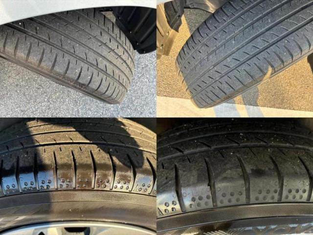 �u���̎Ԃ̎ʐ^�������ƌ������v�u��Ԃ��C�ɂȂ�v�u���̑����͂��Ă���H�v�ǂ�ȏ����ȋ^��ł����C�y�ɂ��₢���킹���������I