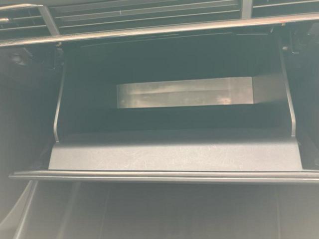 CX-30 4WD XD Lパッケージ 保証書/社外 8.8インチ メモリーナビ/アイアクティブセンス(マツダ)/シートヒーター/360°ビューモニター/車線逸脱防止支援システム/電動バックドア/ヘッドランプ LED 衝突被害軽減システム(44枚目)