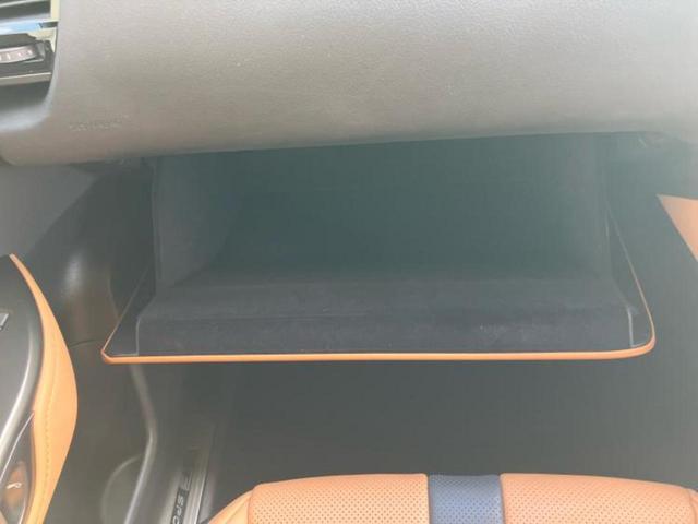 NX 4WD NX450hプラスFスポーツ パノラマルーフ/保証書/ディスプレイオーディオ+ナビ14インチ/デジタルインナーミラー/衝突安全装置/シートヒーター/パノラミックビューモニター/車線逸脱防止支援システム/シート フルレザー 革シート(51枚目)