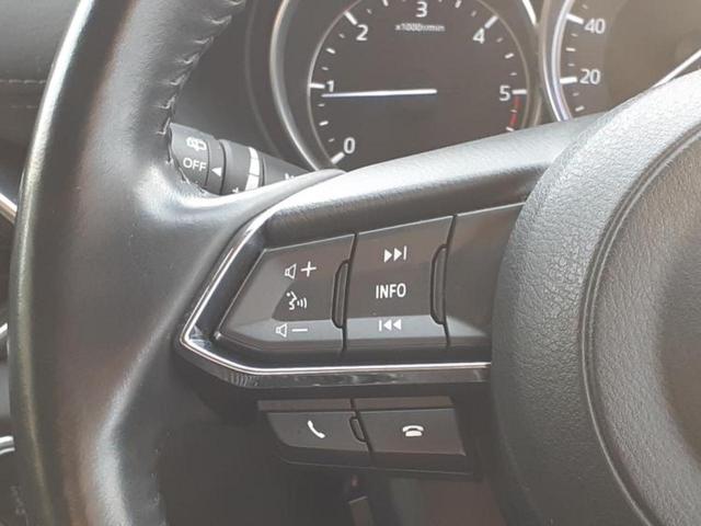 ＣＸ－５ ＸＤ　Ｌパッケージ　ＢＯＳＥ／保証書／純正　ＳＤナビ／衝突安全装置／シートヒーター／車線逸脱防止支援システム／シート　フルレザー／電動バックドア／ヘッドランプ　ＬＥＤ／ＥＴＣ／ＥＢＤ付ＡＢＳ／横滑り防止装置　革シート（33枚目）