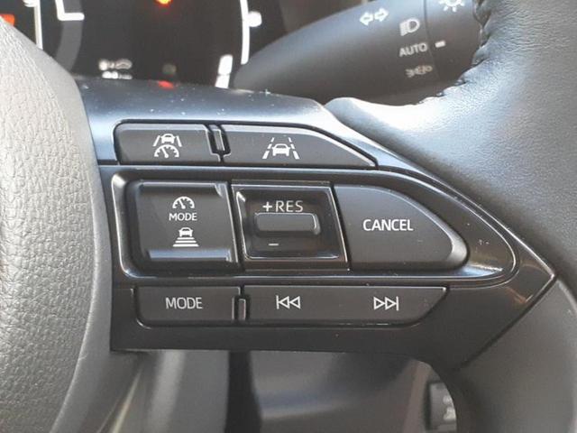 シエンタ ハイブリッドＺ　新品タイヤ／保証書／ディスプレイオーディオ＋ナビ１０インチ／衝突安全装置／両側電動スライドドア／車線逸脱防止支援システム／ヘッドランプ　ＬＥＤ／ＥＴＣ／ＥＢＤ付ＡＢＳ／横滑り防止装置　バックカメラ（33枚目）