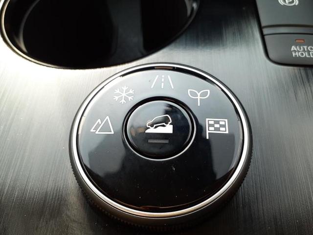 エクストレイル ４ＷＤ　Ｇ　ｅ－４ＯＲＣＥ　保証書／純正　１２．３インチ　メモリーナビ／インテリジェントルームミラー／エマージェンシーブレーキ／シートヒーター　全席／アラウンドビューモニター／車線逸脱防止支援システム／プロパイロット　電動シート（44枚目）