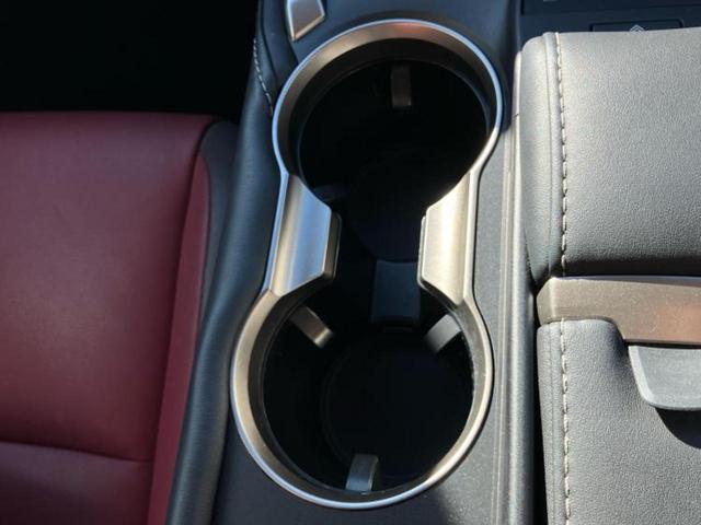 ＮＸ ＮＸ３００ｈ　Ｉパッケージ　純正　１０．３インチ　メモリーナビ／プリクラッシュセーフティ／シートヒーター／車線逸脱防止支援システム／シート　フルレザー／電動バックドア／ドライブレコーダー　前後／ヘッドランプ　３眼ＬＥＤ　革シート（43枚目）