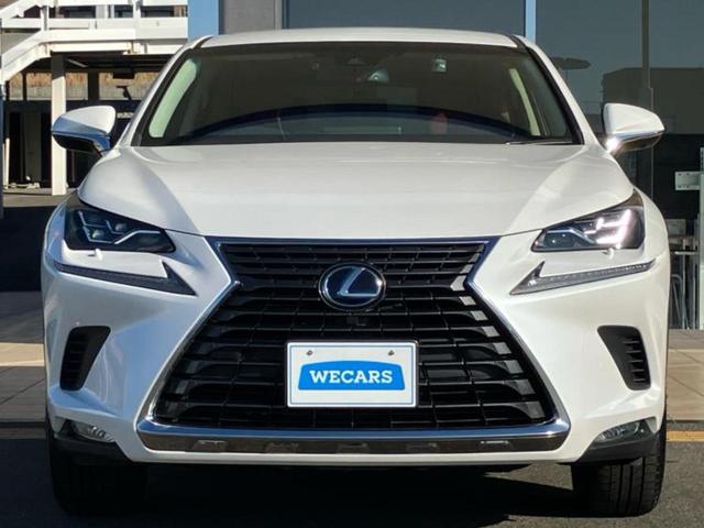 ＮＸ ＮＸ３００ｈ　Ｉパッケージ　純正　１０．３インチ　メモリーナビ／プリクラッシュセーフティ／シートヒーター／車線逸脱防止支援システム／シート　フルレザー／電動バックドア／ドライブレコーダー　前後／ヘッドランプ　３眼ＬＥＤ　革シート（47枚目）