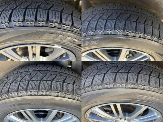 �u���̎Ԃ̎ʐ^�������ƌ������v�u��Ԃ��C�ɂȂ�v�u���̑����͂��Ă���H�v�ǂ�ȏ����ȋ^��ł����C�y�ɂ��₢���킹���������I