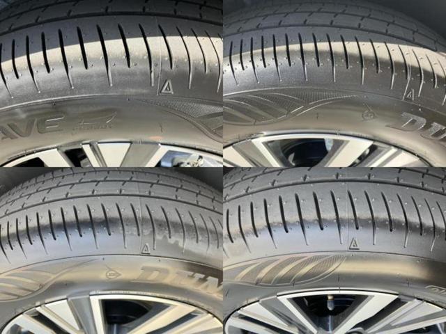 �u���̎Ԃ̎ʐ^�������ƌ������v�u��Ԃ��C�ɂȂ�v�u���̑����͂��Ă���H�v�ǂ�ȏ����ȋ^��ł����C�y�ɂ��₢���킹���������I