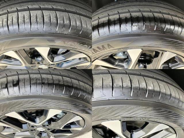 �u���̎Ԃ̎ʐ^�������ƌ������v�u��Ԃ��C�ɂȂ�v�u���̑����͂��Ă���H�v�ǂ�ȏ����ȋ^��ł����C�y�ɂ��₢���킹���������I