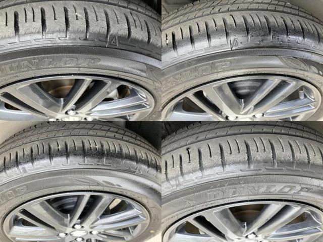 �u���̎Ԃ̎ʐ^�������ƌ������v�u��Ԃ��C�ɂȂ�v�u���̑����͂��Ă���H�v�ǂ�ȏ����ȋ^��ł����C�y�ɂ��₢���킹���������I