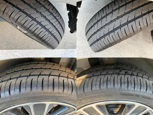 �u���̎Ԃ̎ʐ^�������ƌ������v�u��Ԃ��C�ɂȂ�v�u���̑����͂��Ă���H�v�ǂ�ȏ����ȋ^��ł����C�y�ɂ��₢���킹���������I