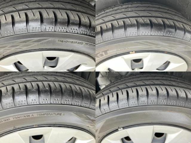 �u���̎Ԃ̎ʐ^�������ƌ������v�u��Ԃ��C�ɂȂ�v�u���̑����͂��Ă���H�v�ǂ�ȏ����ȋ^��ł����C�y�ɂ��₢���킹���������I