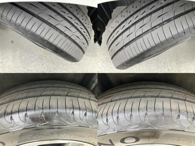 �u���̎Ԃ̎ʐ^�������ƌ������v�u��Ԃ��C�ɂȂ�v�u���̑����͂��Ă���H�v�ǂ�ȏ����ȋ^��ł����C�y�ɂ��₢���킹���������I