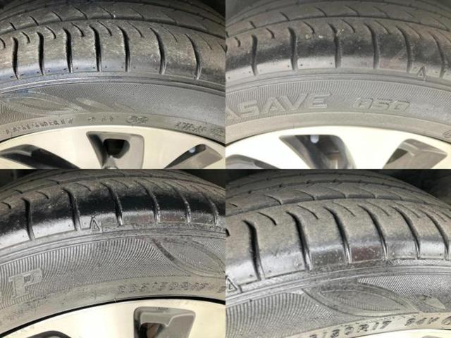 �u���̎Ԃ̎ʐ^�������ƌ������v�u��Ԃ��C�ɂȂ�v�u���̑����͂��Ă���H�v�ǂ�ȏ����ȋ^��ł����C�y�ɂ��₢���킹���������I