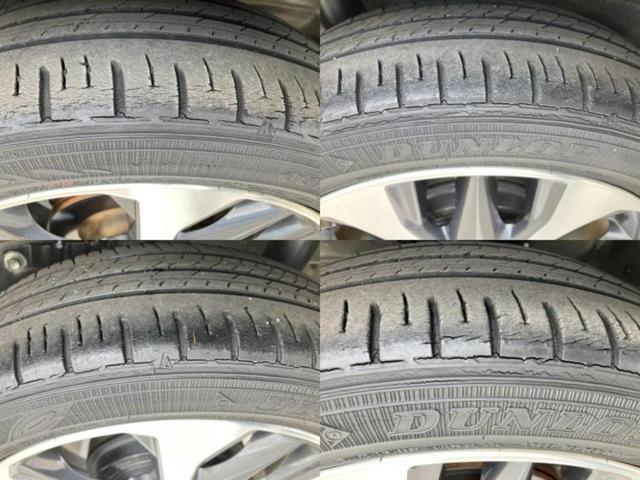 �u���̎Ԃ̎ʐ^�������ƌ������v�u��Ԃ��C�ɂȂ�v�u���̑����͂��Ă���H�v�ǂ�ȏ����ȋ^��ł����C�y�ɂ��₢���킹���������I