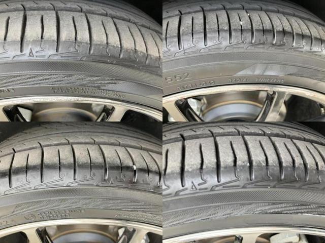 �u���̎Ԃ̎ʐ^�������ƌ������v�u��Ԃ��C�ɂȂ�v�u���̑����͂��Ă���H�v�ǂ�ȏ����ȋ^��ł����C�y�ɂ��₢���킹���������I