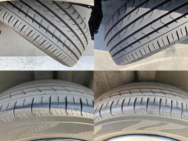 �u���̎Ԃ̎ʐ^�������ƌ������v�u��Ԃ��C�ɂȂ�v�u���̑����͂��Ă���H�v�ǂ�ȏ����ȋ^��ł����C�y�ɂ��₢���킹���������I