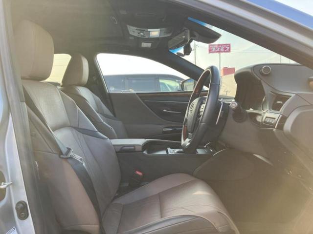 �u���̎Ԃ̎ʐ^�������ƌ������v�u��Ԃ��C�ɂȂ�v�u���̑����͂��Ă���H�v�ǂ�ȏ����ȋ^��ł����C�y�ɂ��₢���킹���������I