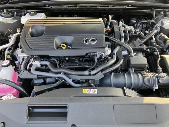 �S���ɓX�܂�W�J���Ă���̂łǂ��ł������񂹂��\�ł��I���̎Ԃ��C�ɂȂ邯�ǉ���������E�E�E�ƒ��߂�K�v�͂���܂���I���ʓr������K�v�ł��B