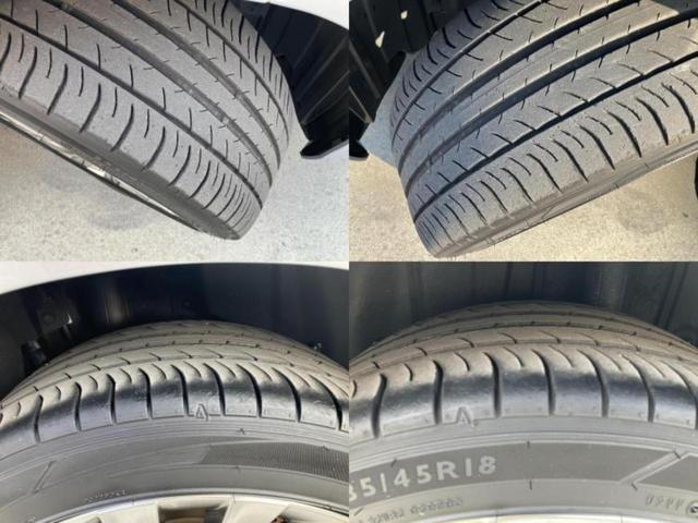 �u���̎Ԃ̎ʐ^�������ƌ������v�u��Ԃ��C�ɂȂ�v�u���̑����͂��Ă���H�v�ǂ�ȏ����ȋ^��ł����C�y�ɂ��₢���킹���������I