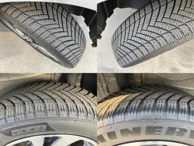 �u���̎Ԃ̎ʐ^�������ƌ������v�u��Ԃ��C�ɂȂ�v�u���̑����͂��Ă���H�v�ǂ�ȏ����ȋ^��ł����C�y�ɂ��₢���킹���������I