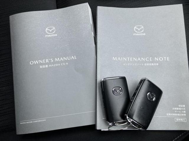 CX-8 25Sプロアクティブ 新品タイヤ/保証書/純正 SDナビ/衝突安全装置/シートヒーター/360°ビューモニター/車線逸脱防止支援システム/電動バックドア/ヘッドランプ LED/Bluetooth接続/ETC レーンアシスト(38枚目)
