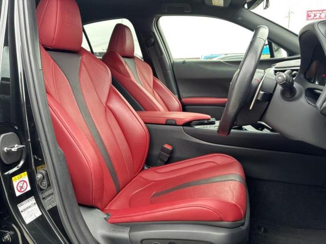 �u���̎Ԃ̎ʐ^�������ƌ������v�u��Ԃ��C�ɂȂ�v�u���̑����͂��Ă���H�v�ǂ�ȏ����ȋ^��ł����C�y�ɂ��₢���킹���������I