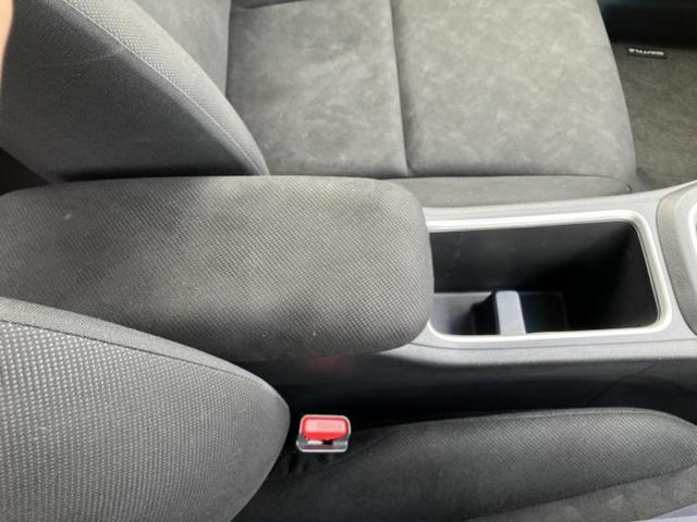 �u���̎Ԃ̎ʐ^�������ƌ������v�u��Ԃ��C�ɂȂ�v�u���̑����͂��Ă���H�v�ǂ�ȏ����ȋ^��ł����C�y�ɂ��₢���킹���������I