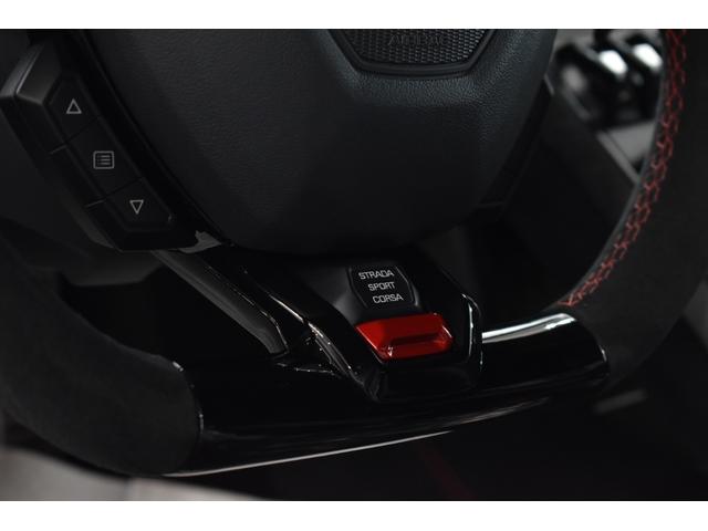 ウラカン ペルフォルマンテ　フロントリフター　フロントプロテクション　グリジオチタン（19枚目）