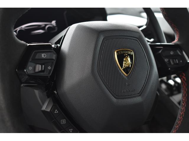 ウラカン ペルフォルマンテ　フロントリフター　フロントプロテクション　グリジオチタン（20枚目）