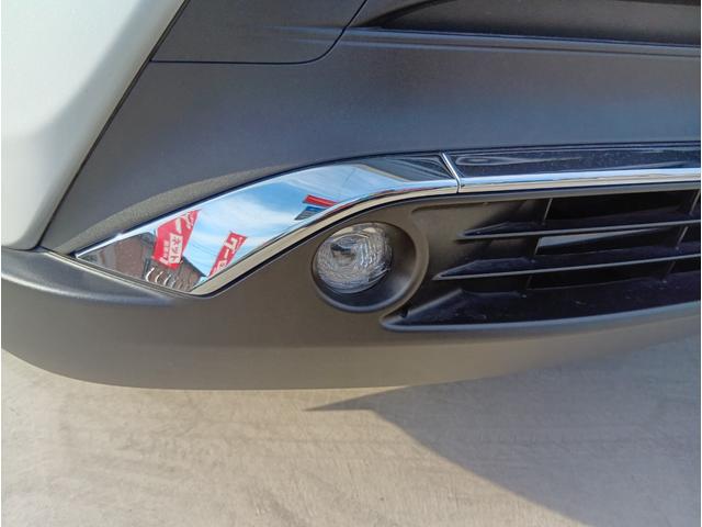 ���E�t�H�O�����v��