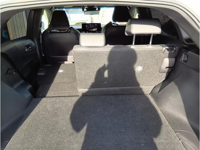 �V�[�g�A�����W�����ʂȂ̂Ől������������A�傫�ȉו����^�ׂ܂��B