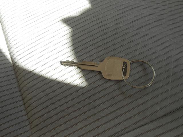 デイズ （37枚目）